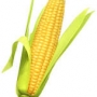 Corn Flavour 4001 / Perisa Jagung 1 KG ( 1 liter )