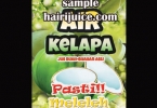 Sticker Balang Air Kelapa