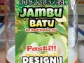 Sticker Air Balang Jus Jambu Batu Kalis Air