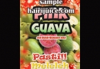 Sticker Balang Pink Guava